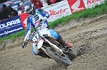 _ROB3233 (Copy)